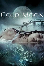 Cold Moon poster