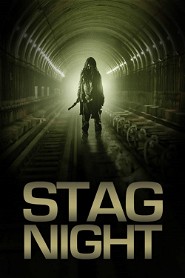 Stag Night poster